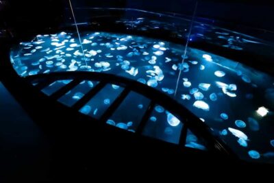 Sumida Aquarium Entry Ticket
