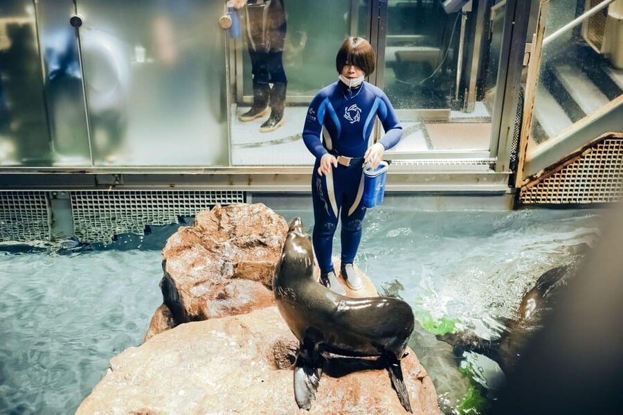 Tokyo: Sumida Aquarium Entry Ticket - How Long You’ll Need and How to Pace a Calm Day