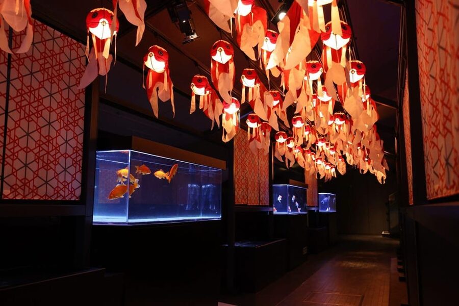 Tokyo: Sumida Aquarium Entry Ticket - Who Should Book This and Who Might Want a Different Stop?