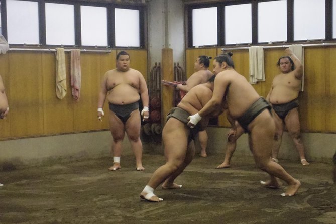 Tokyo Sumo Morning Practice Tour at Stable - How the headsets and guide commentary work, plus the common issues
