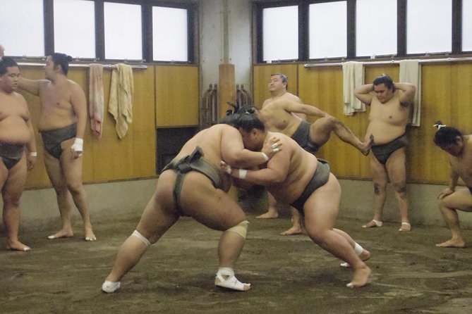 Tokyo Sumo Morning Practice Tour at Stable - Inside the stable: 90 minutes of quiet viewing and real training