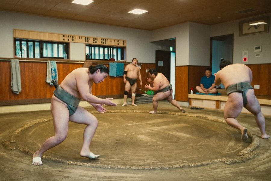 Tokyo: Sumo Morning Practice Tour at Sumida City - Price and Value: Is $116 for Two Hours Worth It?