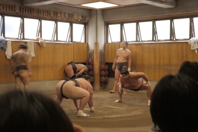 Tokyo Sumo Morning Practice Tour w/ Ring-Side Seat + Photo Shoot - A Real Sumo Morning Practice, Not a Performance