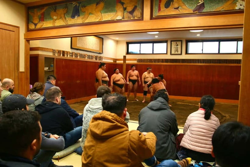 Tokyo Sumo Morning Practice: Viewing & Exclusive Interaction - Inside the stable: training atmosphere, seating choices, and timing