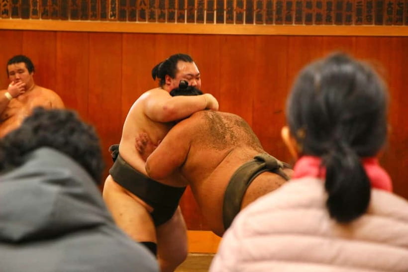 Tokyo Sumo Morning Practice: Viewing & Exclusive Interaction - FAQ