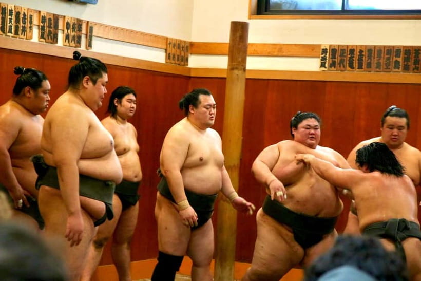Tokyo Sumo Morning Practice: Viewing & Exclusive Interaction - Narihira Park Orientation: Rituals, Etiquette, and Where to Meet