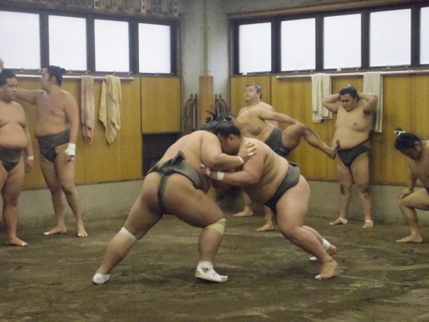 Tokyo: Sumo Morning Practice Viewing Tour - Key things that make this tour worth your morning