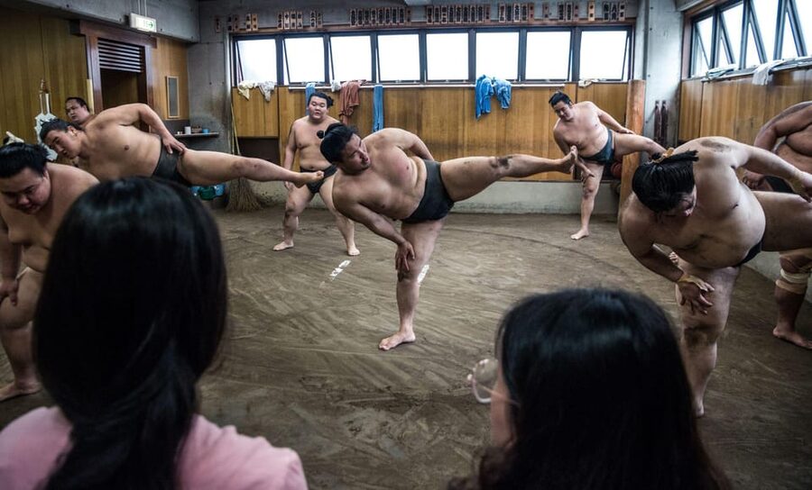 Tokyo: Sumo Morning Practice Viewing Tour - How to Get the Best Seats and Best Experience
