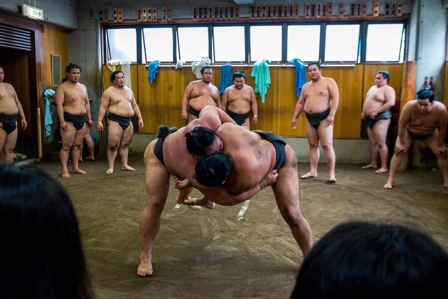 Tokyo: Sumo Morning Practice Viewing Tour - What You Actually Watch During Sumo Morning Practice