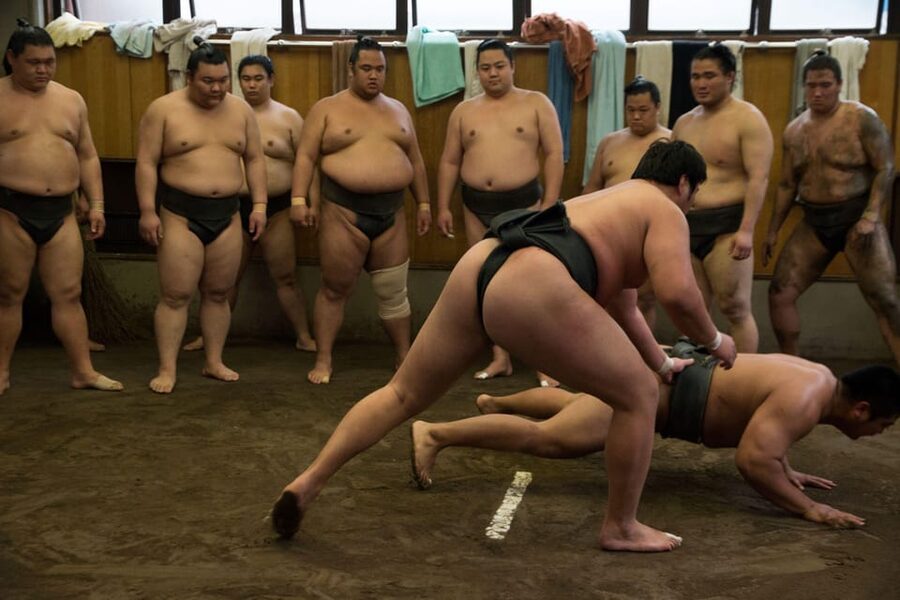 Tokyo: Sumo Morning Practice Viewing Tour - Your English Guide: What You Learn While You Watch