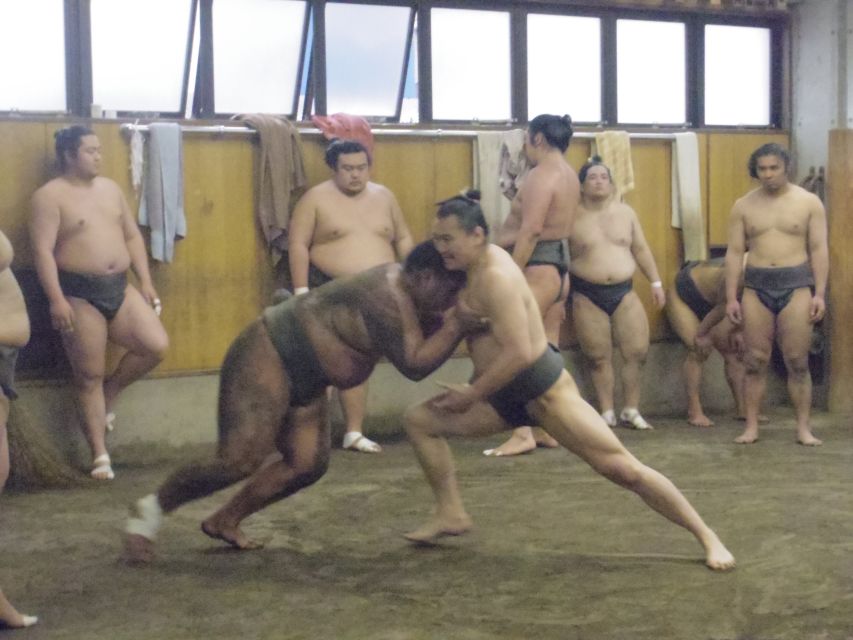 Tokyo: Sumo Morning Practice Viewing Tour - Price and Value: Is $81 Worth It?