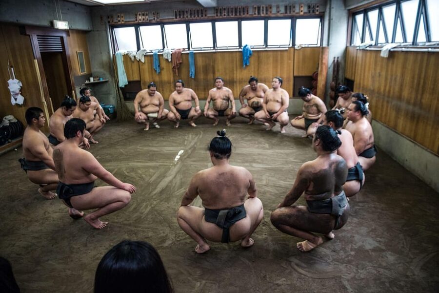 Tokyo: Sumo Morning Practice Viewing Tour - Who This Tour Is Best For (and Who Should Skip)