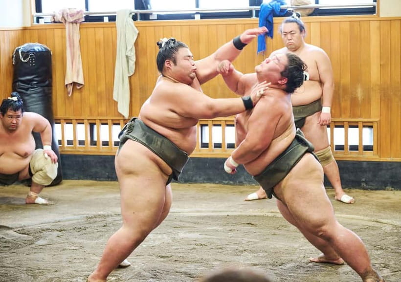 Tokyo: Sumo Morning Practice Viewing Tour at a Real Stable - Guides Who Translate Sumo: Tomo and Mao’s Type of Support