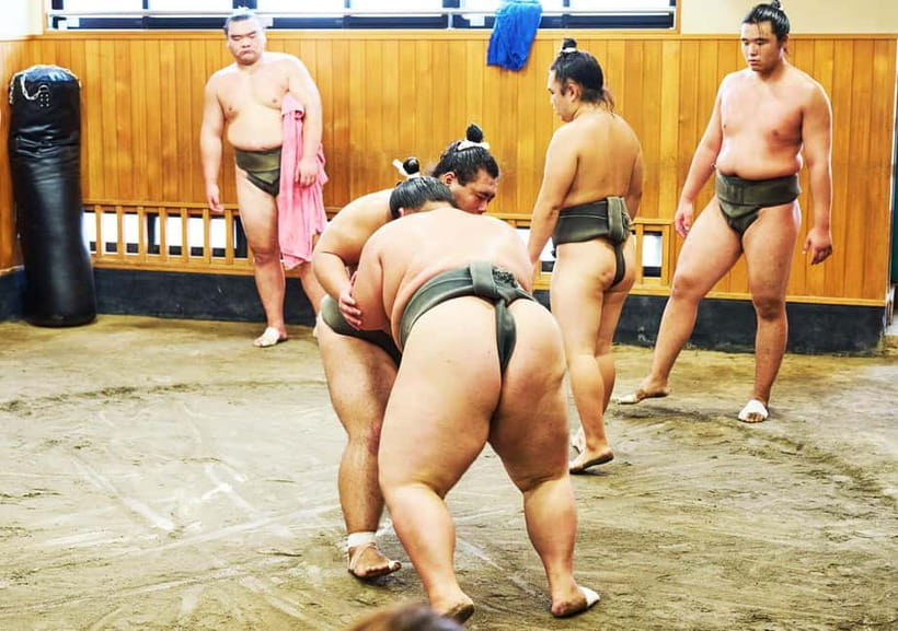 Tokyo: Sumo Morning Practice Viewing Tour at a Real Stable - Value Check: Is $118.92 Worth It for This Kind of Access?