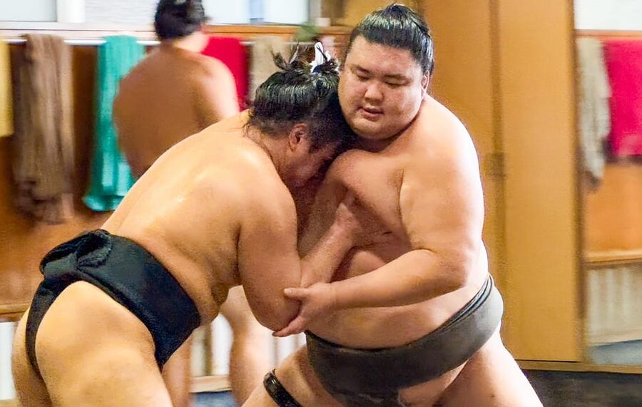 Tokyo: Sumo Morning Practice with journalists. Not fake show - Key Highlights You Should Not Miss