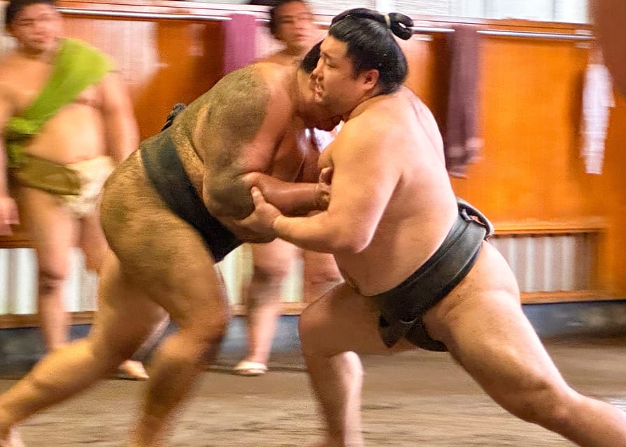 Tokyo: Sumo Morning Practice with journalists. Not fake show - Why This Sumo Tour Feels Legit, Not Like a Tourist Show