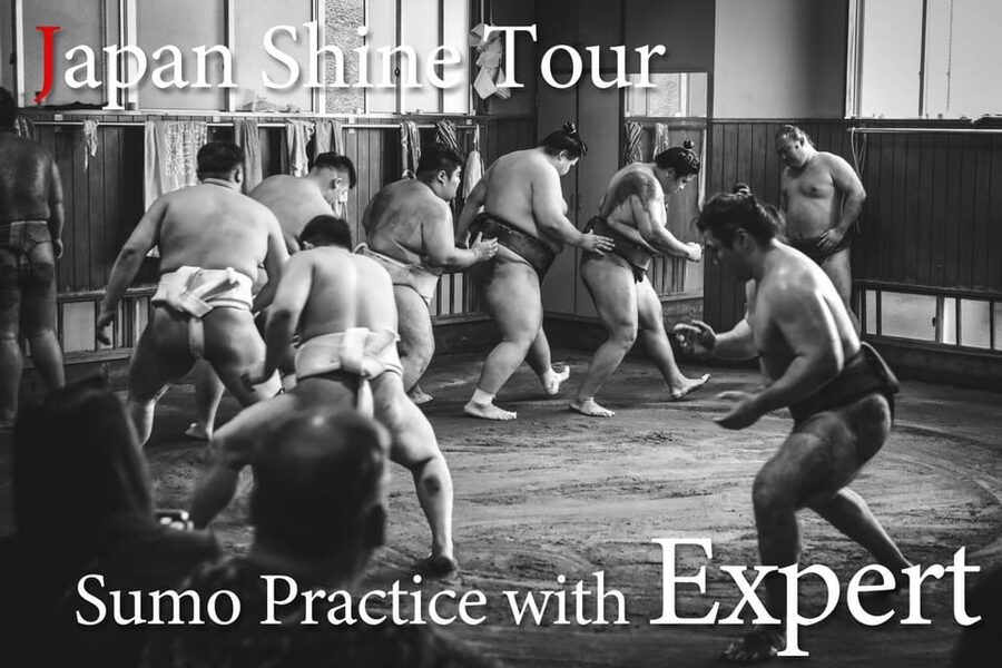 Tokyo: Sumo Morning Practice with journalists. Not fake show - Meeting at Ryogoku Station and What the Morning Actually Requires