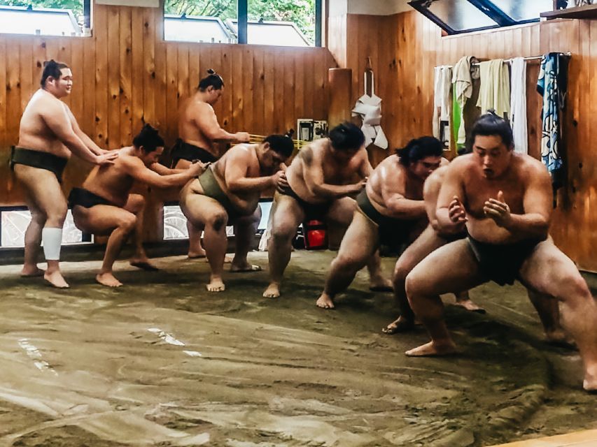 Tokyo: Sumo Morning Training Visit - The group photo: the moment you should not rush