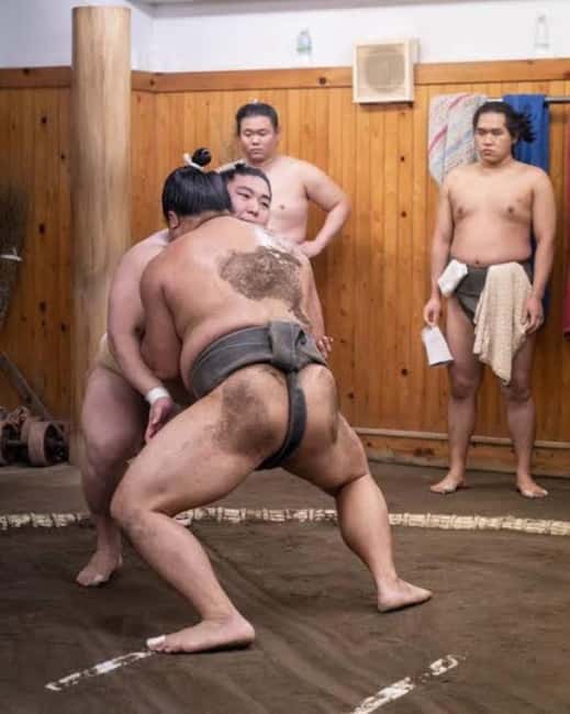 Tokyo: Sumo Show and Experience in Shinjuku - Key highlights you will actually feel in the room