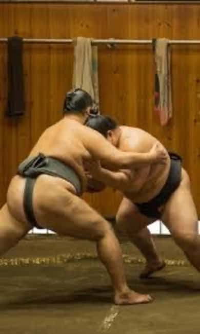 Tokyo: Sumo Show and Experience in Shinjuku - The English MC makes sumo rules feel simple