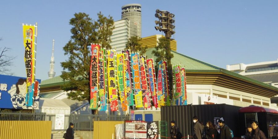 Tokyo: Sumo Tournament Tour with Chair Seat Tickets - The day’s timeline: ceremonies, main bouts, and when to look up