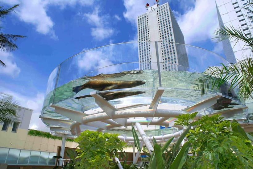 Tokyo: Sunshine Aquarium Entry Ticket - Your Entry Ticket: QR Code, reserved date, and direct visit