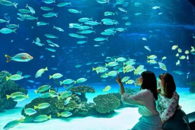 Sunshine Aquarium Entry Ticket