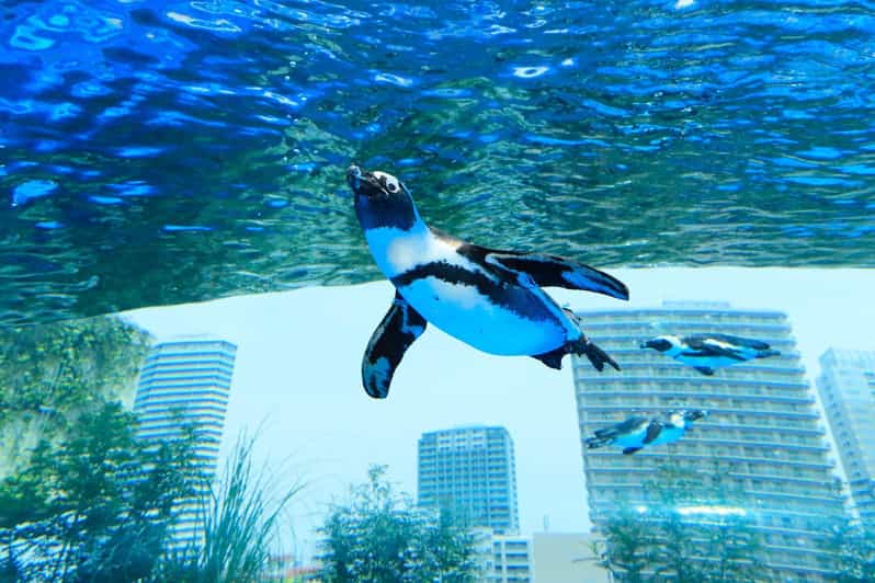 Tokyo: Sunshine Aquarium Entry Ticket - Tropical resort feeling, built right into the design
