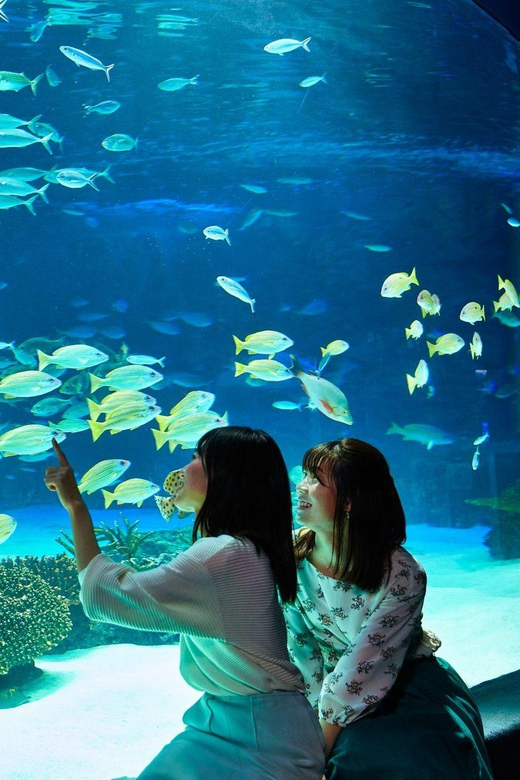 Tokyo: Sunshine Aquarium Entry Ticket - How to structure your time during a 1-day entry