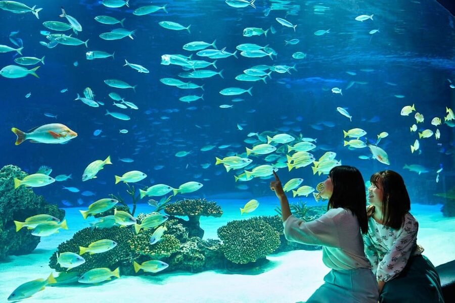 Tokyo: Sunshine Aquarium Entry Ticket - Price and what you really get for about $16