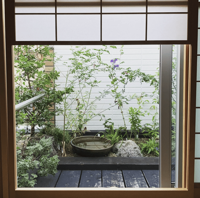 Tokyo: Tea Ceremony Experience in a small tea room - Price and value, what $51 covers and what can cost extra