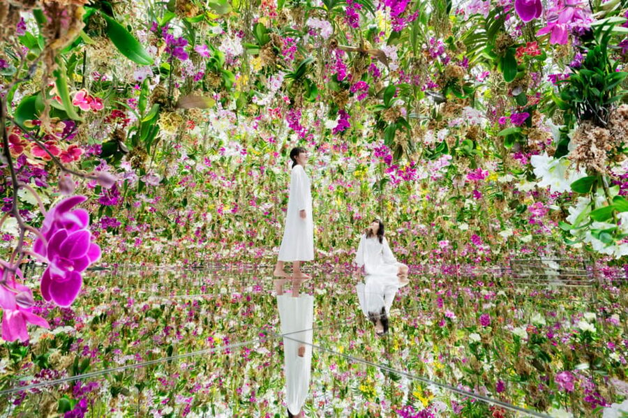 Tokyo: teamLab Planets TOKYO Digital Art Museum Entry Ticket - Timing and entry rules that can make or break your visit