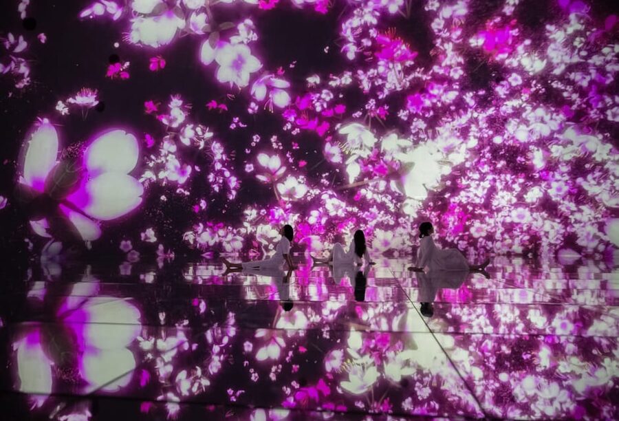 Tokyo: teamLab Planets TOKYO Digital Art Museum Entry Ticket - The 10,000-square-meter flow: how the rooms usually feel
