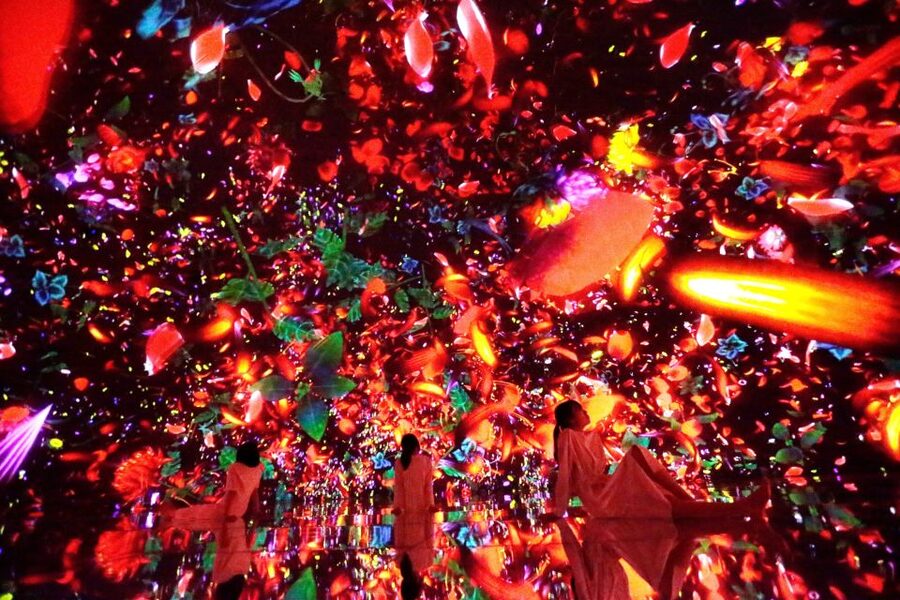 Tokyo: teamLab Planets TOKYO Digital Art Museum Entry Ticket - Water Gallery and the art of standing still
