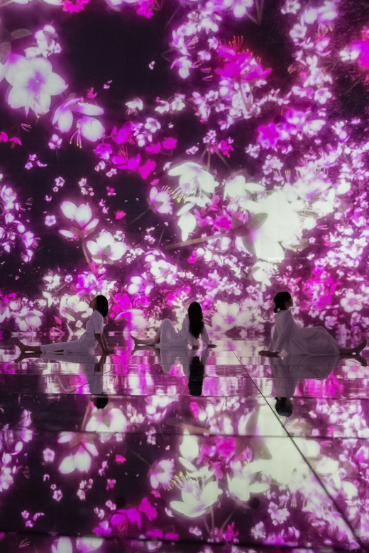 Tokyo: teamLab Planets TOKYO Digital Art Museum Entry Ticket - Forest, orchids, and the falling flower rooms