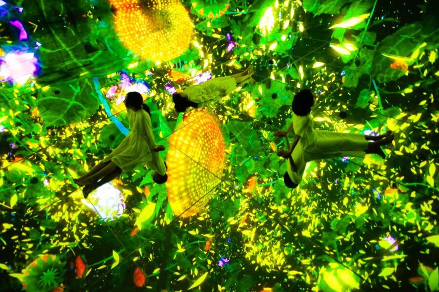 Tokyo: teamLab Planets TOKYO Digital Art Museum Entry Ticket - Using the teamLab app and planning your pace