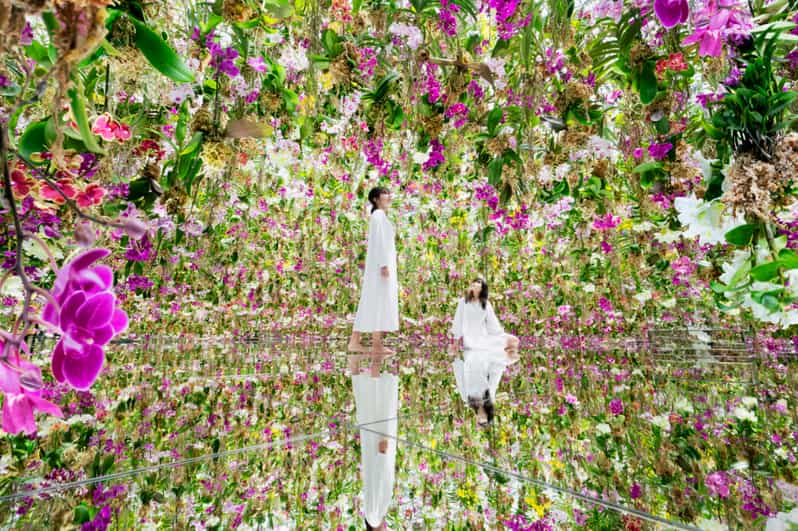 Tokyo: teamLab Planets TOKYO Digital Art Museum Entry Ticket - Ticket value, price, and what $25 really buys
