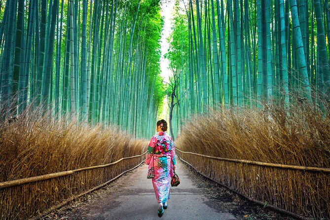 Tokyo to Kyoto 1-Full Day Private Guided Tour - How this 9-hour Kyoto day really works from Tokyo