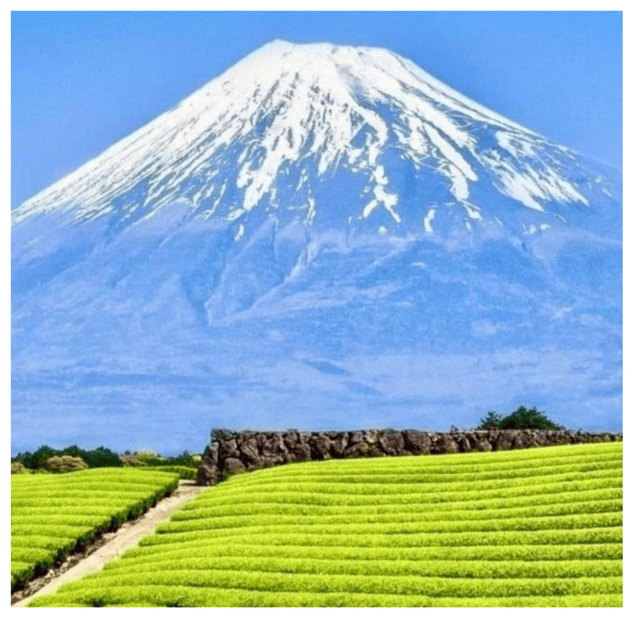 “Tokyo to Mt. Fuji & Hakone: Private Customizable Day Trip” - Arakurayama Sengen Park and Chureito Pagoda: the iconic walk, done calmly