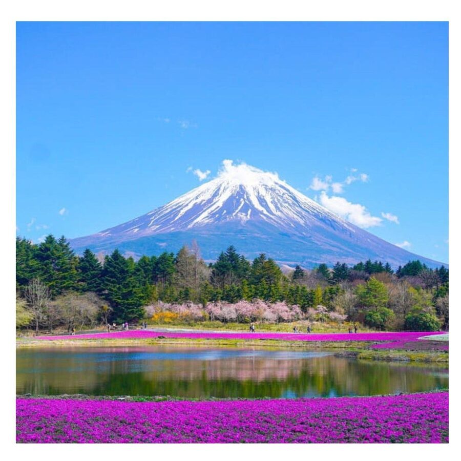 “Tokyo to Mt. Fuji & Hakone: Private Customizable Day Trip” - Lake Kawaguchiko: calm water, Fuji reflections (when the sky cooperates)
