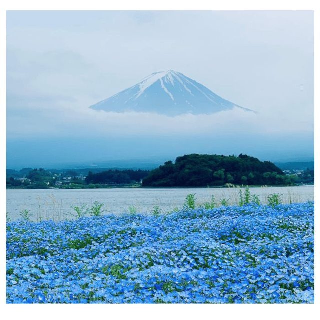 “Tokyo to Mt. Fuji & Hakone: Private Customizable Day Trip” - Mt. Kachi Kachi Ropeway and Narusawa Ice Cave: fun variety, but plan for movement and tickets