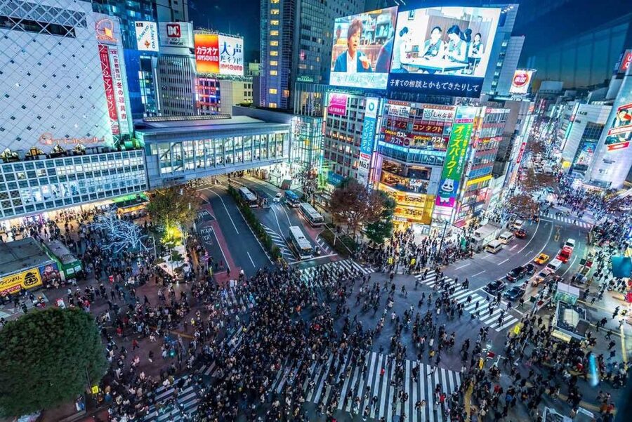 Tokyo: Tokyo Private Day Tour With Guide - Harajuku Takeshita Street: style, snacks, and the friendly chaos of youth culture