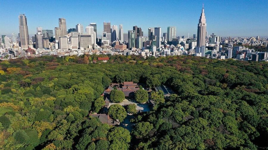 Tokyo: Tokyo Private Day Tour With Guide - Shibuya Crossing plus Akihabara: two Tokyo moods, one afternoon