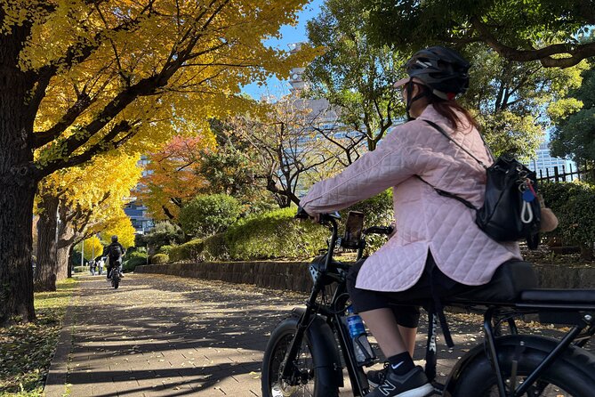 Tokyo Top Highlights 3h Guided E-bike Tour - Tokyo Tower Route: Zojo-ji Temple, Atago Shrine climb, Diet Building, and Hibiya Park snack time