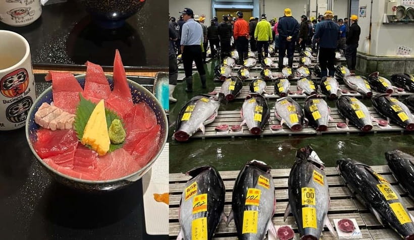 Tokyo Toyosu Tuna Auction + Breakfast (Sushi Dai or Bentomi) - The hand signals, auction flow, and what you learn in the hall