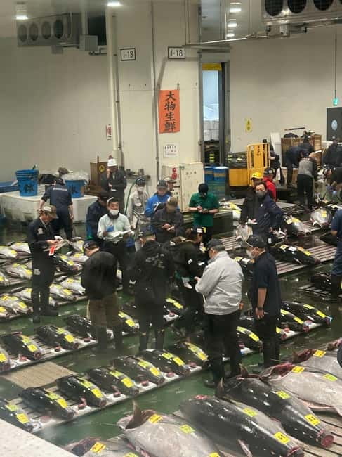 Tokyo Toyosu Tuna Auction + Breakfast (Sushi Dai or Bentomi) - What’s included, plus small touches that make it feel organized