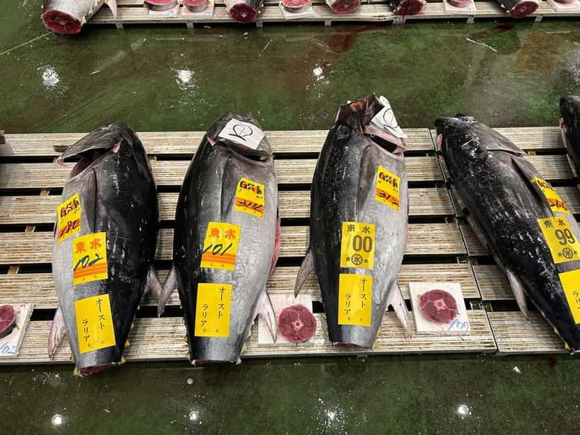 Tokyo Toyosu Tuna Auction + Breakfast (Sushi Dai or Bentomi) - Choosing your view: ground-level deck vs 3rd-floor gallery