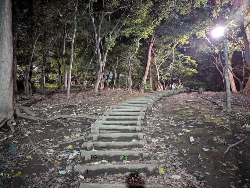 Tokyo: True Crime And Ghost Stories Tour - What the Tour Feels Like Day to Day: Humor, Adult Themes, and Pace