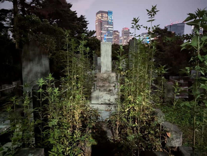 Tokyo: True Crime And Ghost Stories Tour - Who Should Book This Tokyo True Crime and Ghost Stories Walk