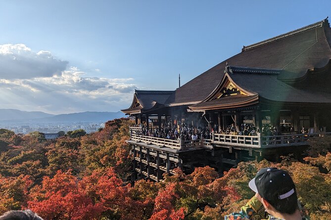 Tour in Kyoto with a Goverment Certified Tour Guide - Key Things You Should Know Before You Go